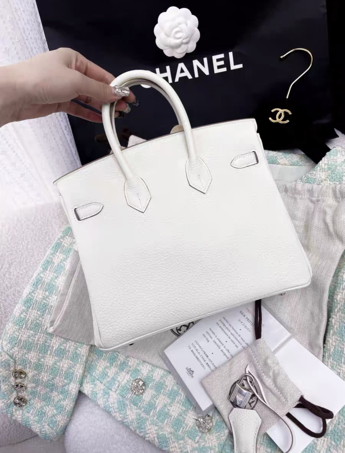 Hermès Birkin 25 Mushroom Togo Palladium Hardware - Image 4