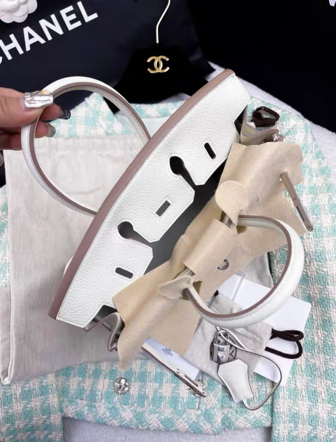 Hermès Birkin 25 Mushroom Togo Palladium Hardware - Image 5