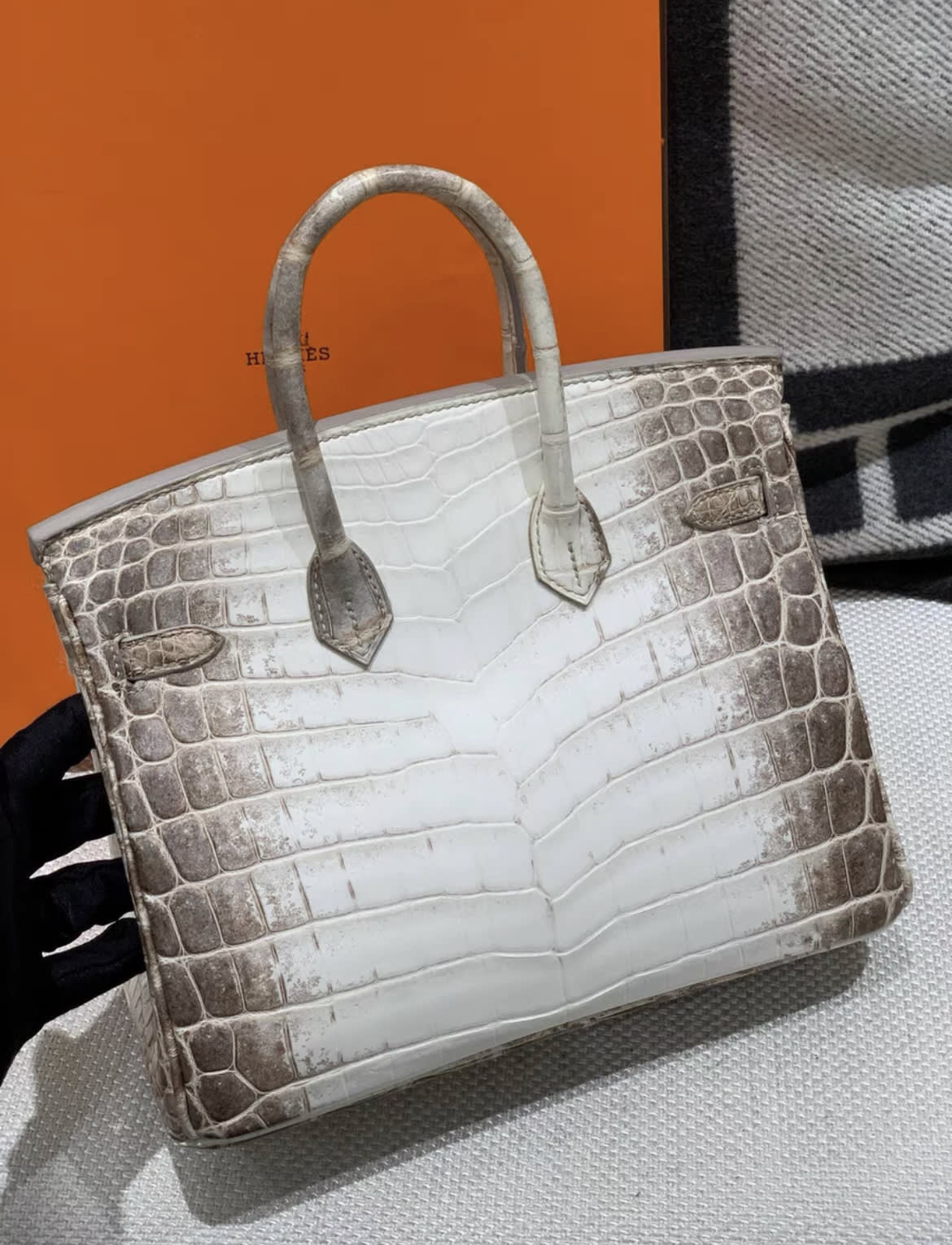 Hermes Birkin 25 Himalaya Palladium Hardware - Image 3