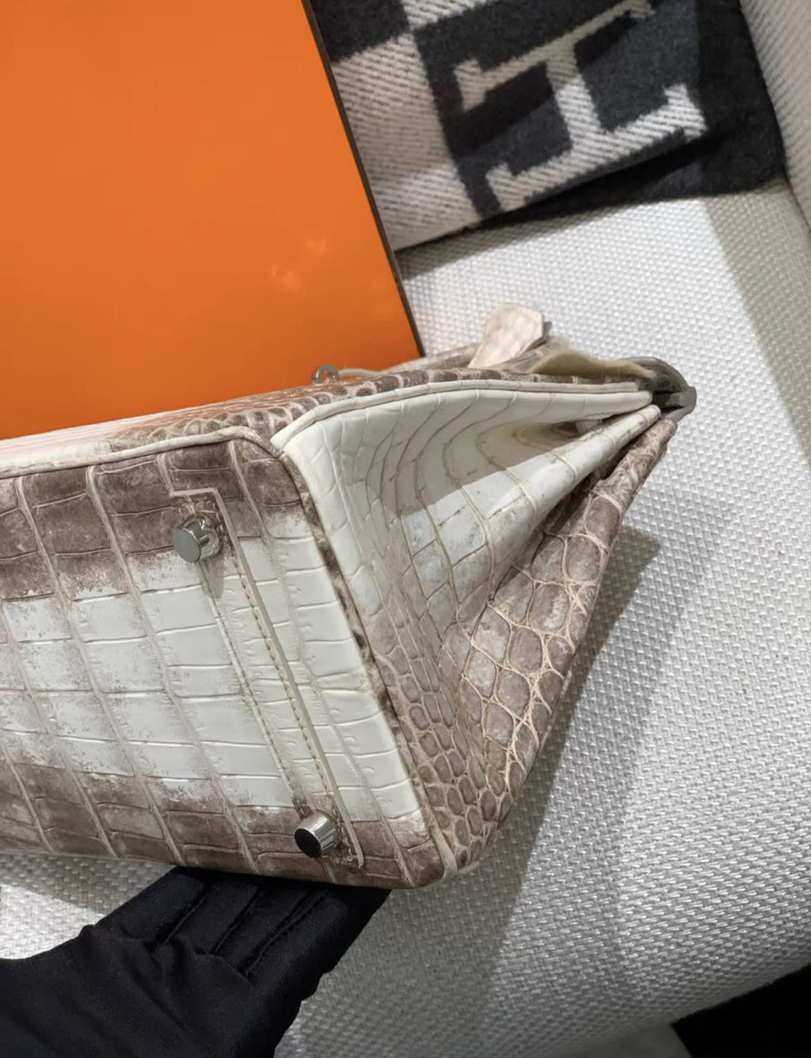 Hermes Birkin 25 Himalaya Palladium Hardware - Image 4