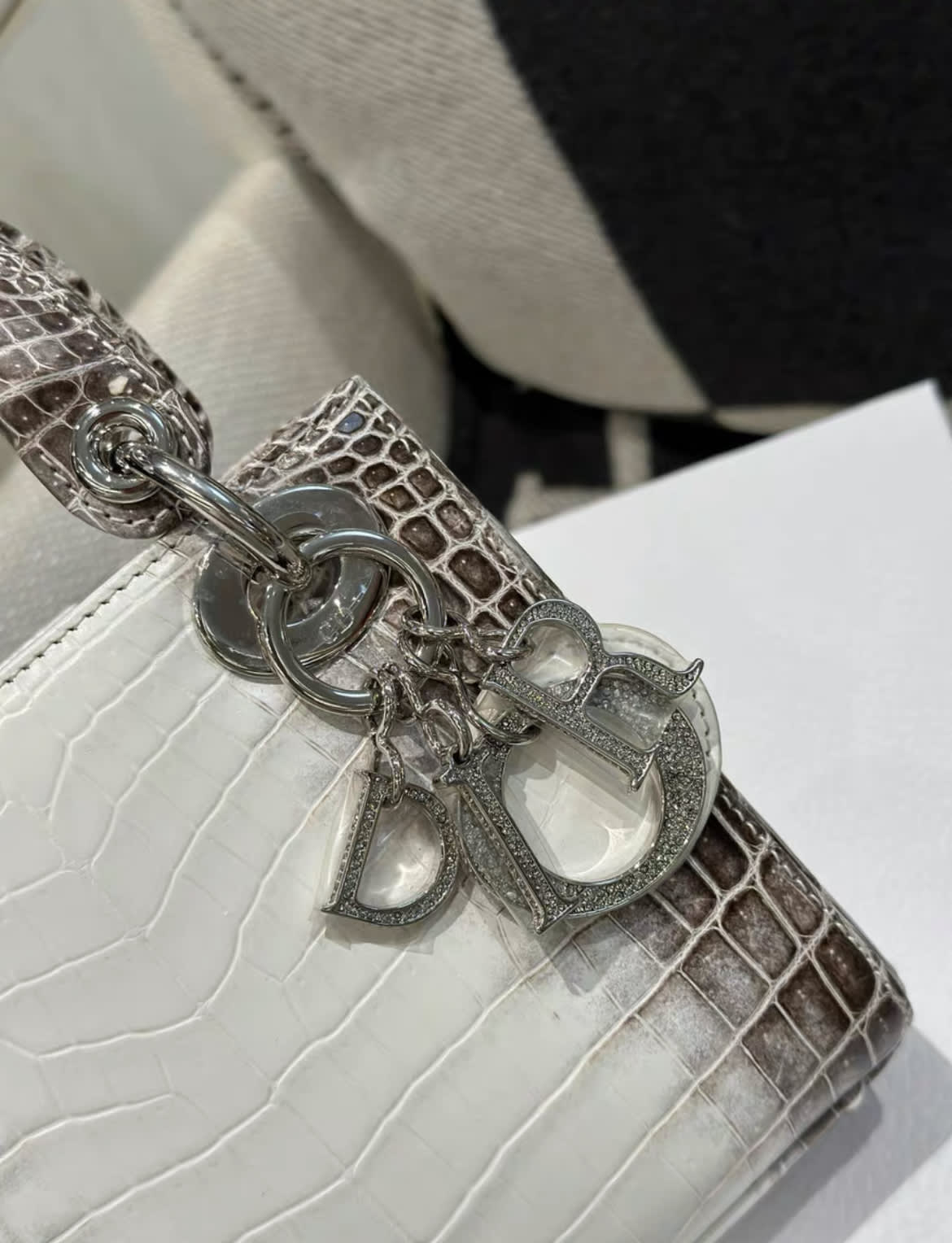 Christian Dior Himalayan Crocodile Lady Dior Mini Handbag - Image 3