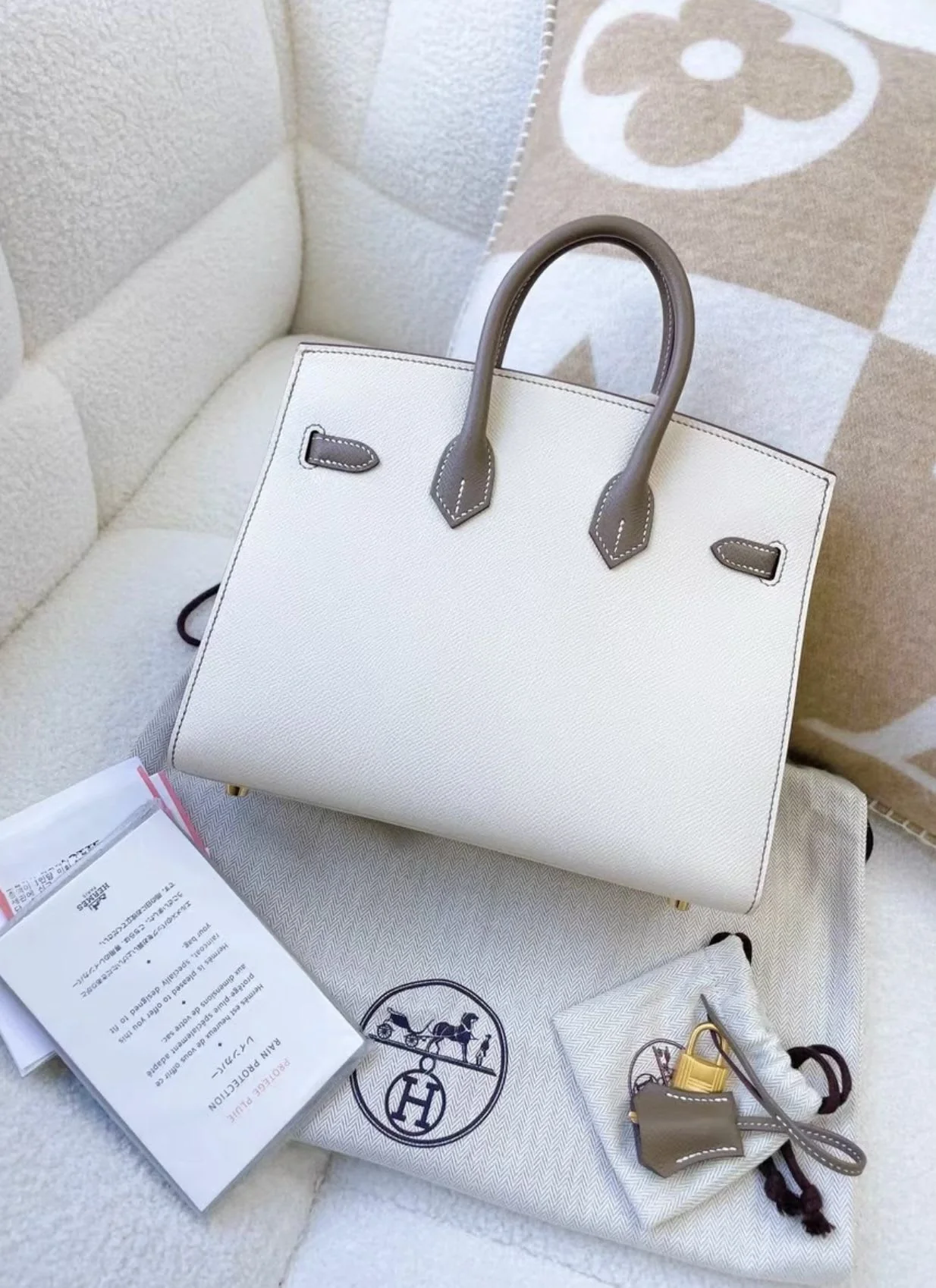 Hermes Birkin 25 White & Gray Brushed Gold - Image 5